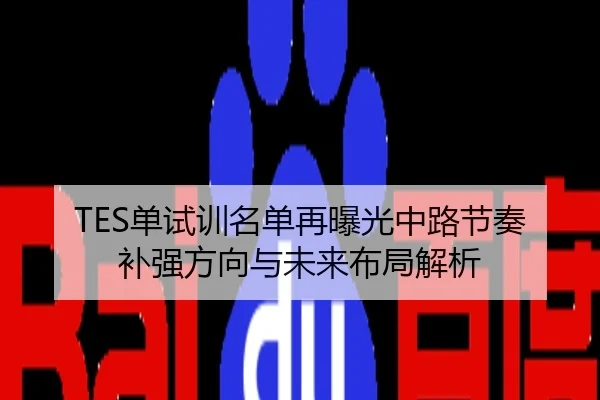 TES单试训名单再曝光中路节奏补强方向与未来布局解析