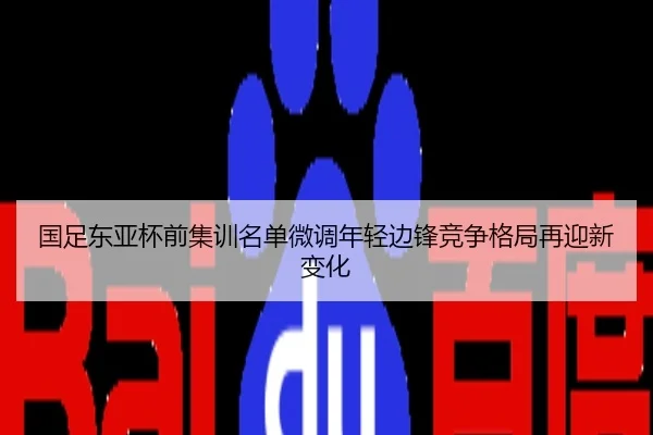 国足东亚杯前集训名单微调年轻边锋竞争格局再迎新变化
